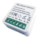 Mini smart Switch